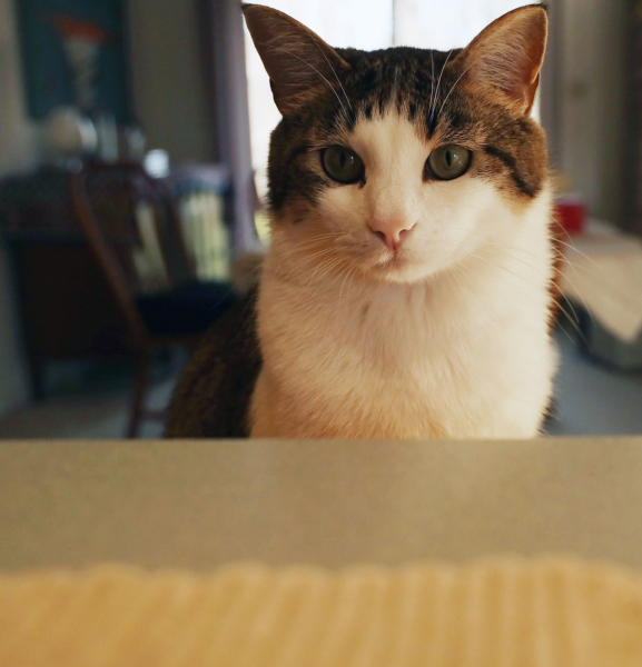 Kitchen supervisor, April 4, 2020